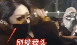 哈尔滨木耳爆料事件视频,揭露食品安全背后的惊人真相